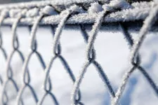 Frosted chain link fence
