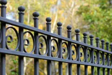 A black wrought fence with intricate designs, adding elegance and charm to its surroundings.