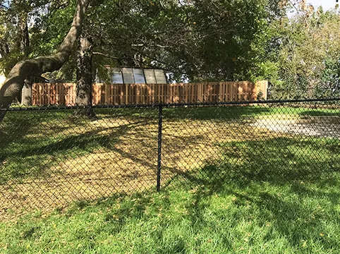 Chain Link
