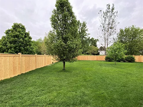 Wood Fence
