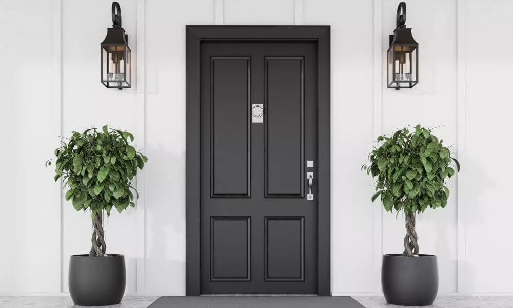 A black door adorned with two potted plants, adding a touch of nature to the entrance