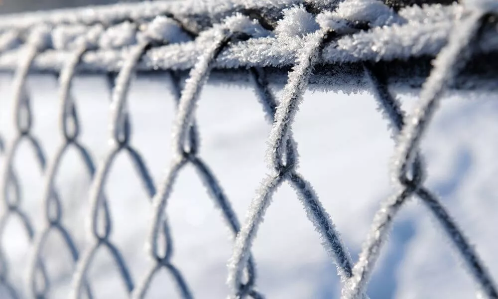 Frosted chain link fence