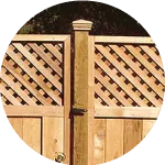 Lattice Top